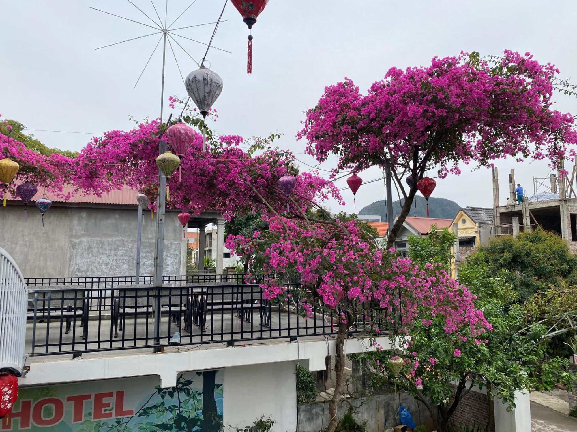 Elizabeth Hotel Tam Coc Νιν Μπιν Εξωτερικό φωτογραφία